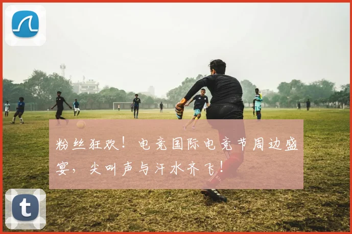 粉丝狂欢！电竞国际电竞节周边盛宴，尖叫声与汗水齐飞！