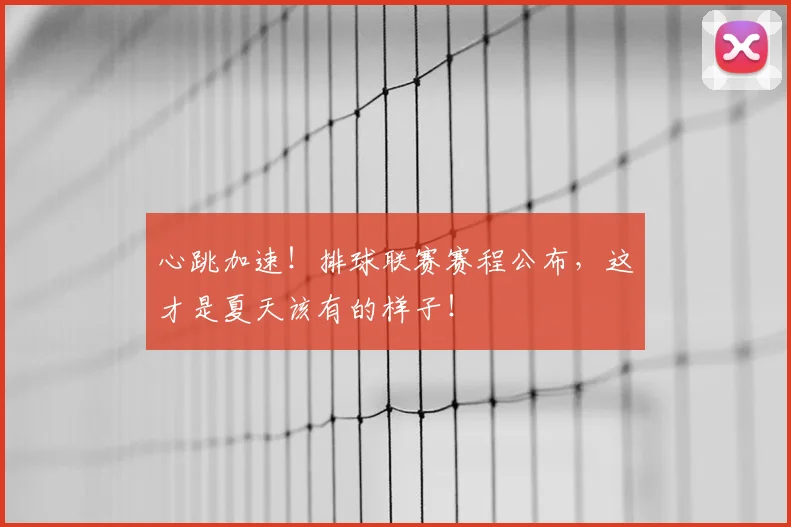 心跳加速！排球联赛赛程公布，这才是夏天该有的样子！